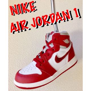 ナイキ(NIKE)の【超超レア・新品】 NIKE JORDAN 1 ナイキ ジョーダン パターカバー(シューズ)