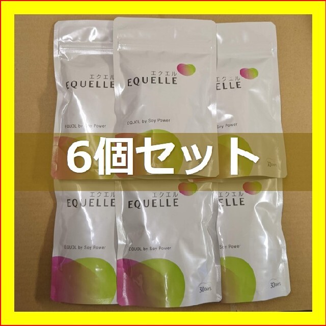 【新品未開封 新品】EQUELLE エクエル パウチ 6個セット