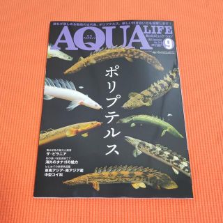 ✩★アクアライフ2022年9月最新号★✩(その他)