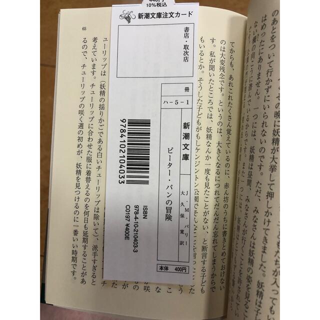 ピーター・パンの冒険　生れ出づる悩み エンタメ/ホビーの本(文学/小説)の商品写真