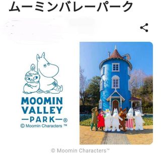 チップ様用★使用期限8/21まで★ムーミンパークチケット電子版大人2枚(遊園地/テーマパーク)