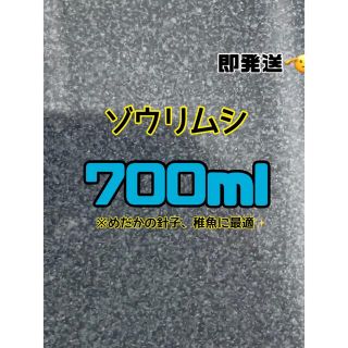 【ゾウリムシ種水】700ml  送料無料　めだか　金魚　グッピー(アクアリウム)