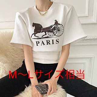 半額！韓国ファッション　夏半袖 ラウンドネックTシャツ レトロ　おしゃれかわいい(Tシャツ(半袖/袖なし))