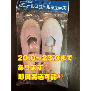 上履き　20.0  他のサイズもあります！即日発送可能(スクールシューズ/上履き)