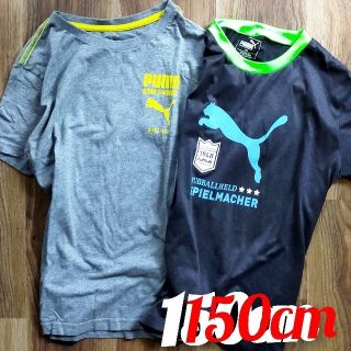 プーマ(PUMA)のPUMA プーマ Ｔシャツ 150 キッズ ジュニア(Tシャツ/カットソー)