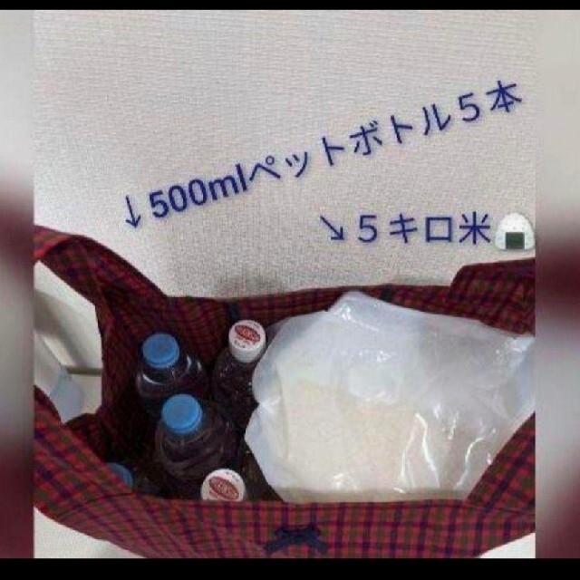 小さく畳めるエコバッグハンドメイド レディースのバッグ(エコバッグ)の商品写真