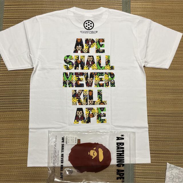 APE BAPE KAWS DRAGONBALL Z ドラゴンボール　tシャツ