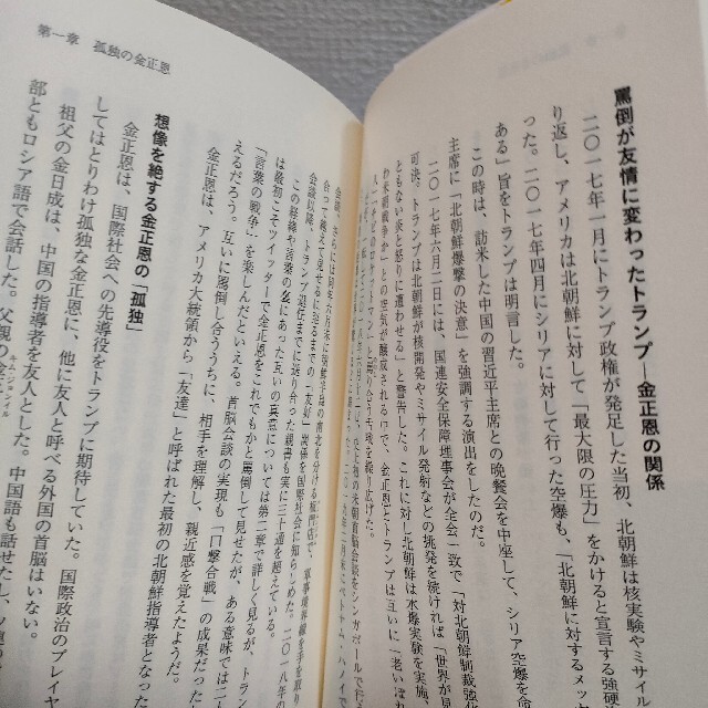 ワニブックス(ワニブックス)の『 絶望の文在寅、孤独の金正恩 「バイデン・ショック」で自壊する朝鮮半島 』★  エンタメ/ホビーの本(人文/社会)の商品写真