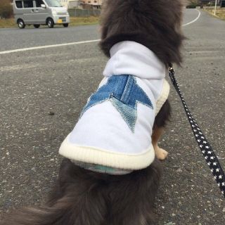 ギフト】 ハンドメイド犬服 reima様オーダー - msteam.ba
