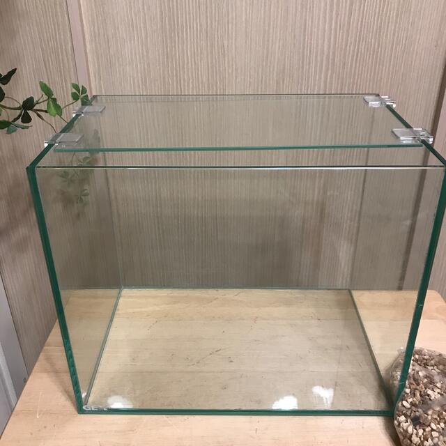 SALE/59%OFF】 ガラス 送料込み 30cm水槽 ハイタイプ水槽 高級感あり 魚 SALE/59%OFF】 ガラス 送料込み 30cm水槽 ハイタイプ水槽 高級感あり 魚
