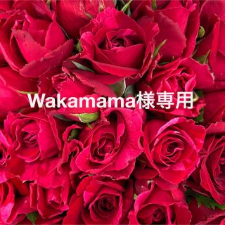 Wakamama様専用　赤薔薇　ユーカリ追加　ラッピング込み　クール便対応(その他)