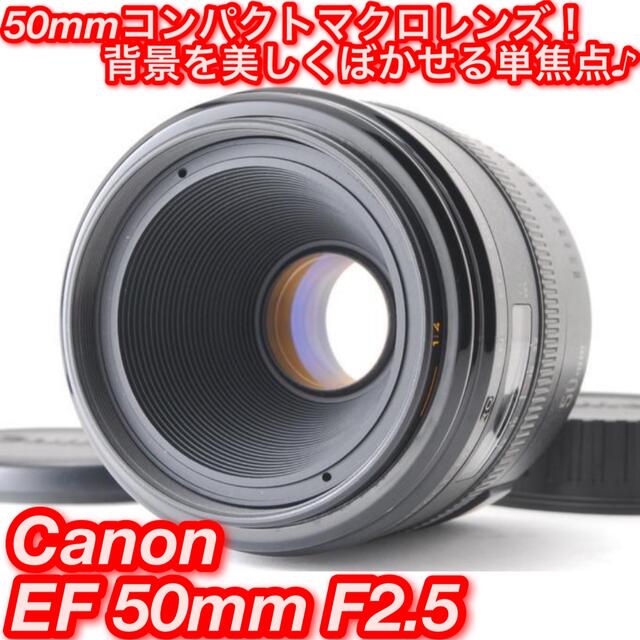 ★自然をクローズアップ！☆キャノン EF 50mm F2.5 コンパクトマクロ★