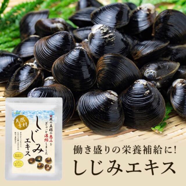 しじみエキス オルニチン タウリン サプリメント 3カ月分×4袋　 食品/飲料/酒の食品(魚介)の商品写真