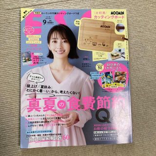 ESSE(エッセ)増刊 真夏の食費節約Q&A 2022年 09月号　付録なし(生活/健康)