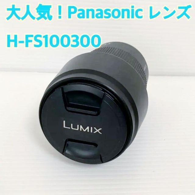 大人気！Panasonic H-FS100300