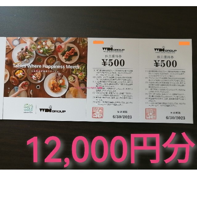 WDI  株主優待　12,000円分