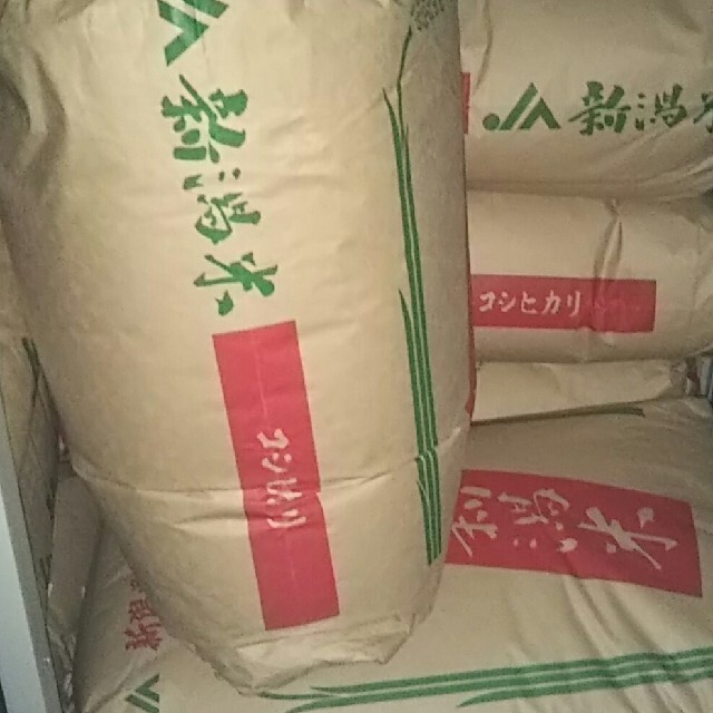 令和3年産 新潟県産コシヒカリ 低温保管