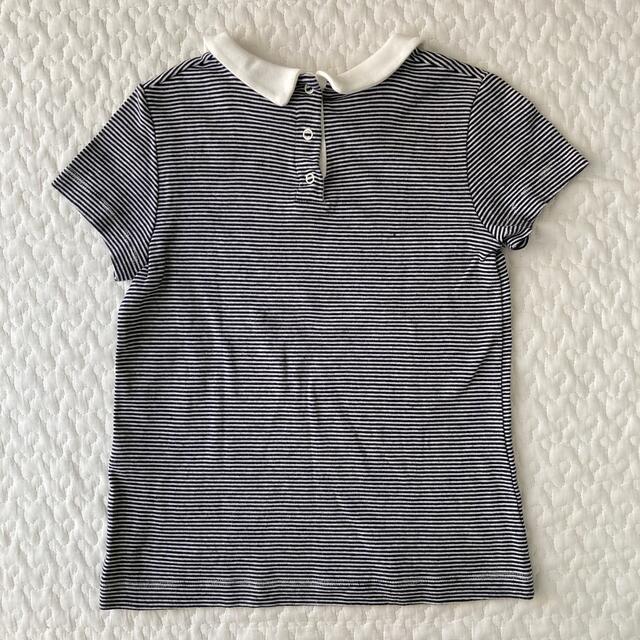 PETIT BATEAU(プチバトー)のプチバトー　6ans/116cm 丸襟ボーダーカットソー  キッズ/ベビー/マタニティのキッズ服女の子用(90cm~)(Tシャツ/カットソー)の商品写真