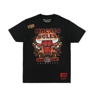 ミッチェルアンドネス(MITCHELL & NESS)のシカゴブルズ　チャンピオンTシャツ　Mサイズ　マイケルジョーダン　ロドマン(Tシャツ/カットソー(半袖/袖なし))