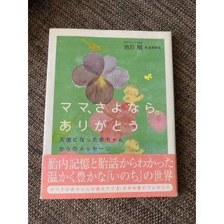 ママ、さよなら。ありがとう 天使になった赤ちゃんからのメッセージ(結婚/出産/子育て)