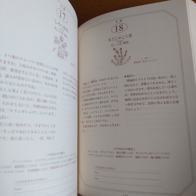 ３６６日誕生花の本 エンタメ/ホビーの本(その他)の商品写真