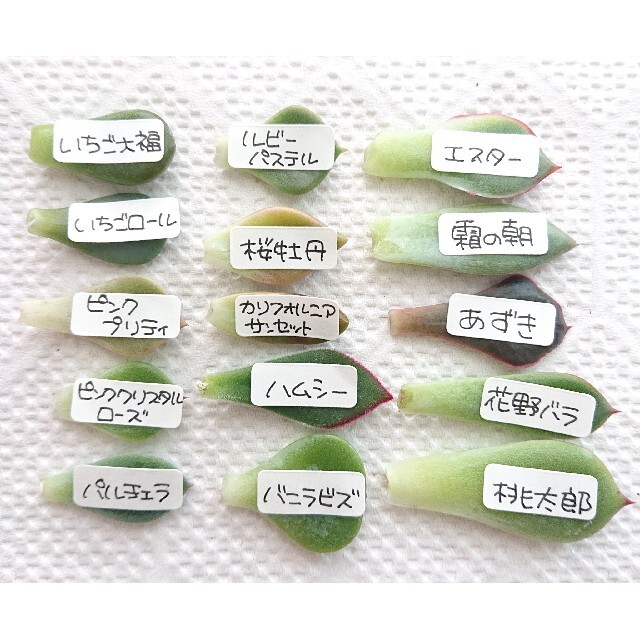 鍔 時代物 在銘ながら読めず 金象嵌 人物と荷馬 本格派ま! 4500円引き