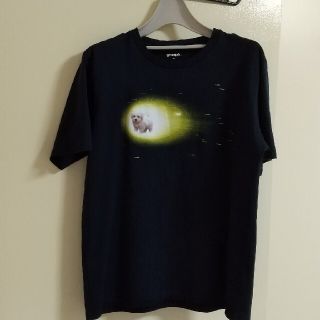 グラニフ(Graniph)のだるまさん専用    graniph Tシャツ Mｻｲｽﾞ 紺色(Tシャツ(半袖/袖なし))