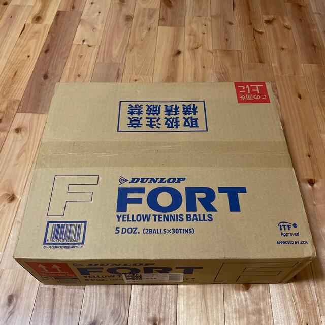 ダンロップ [DUNLOP] FORT フォート 1箱1缶2球入/30缶/60球