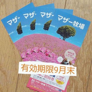 マザー牧場 招待券 4枚セット 有効期限9月30日(遊園地/テーマパーク)