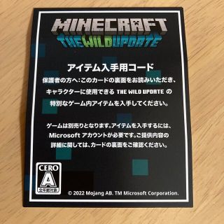 ニンテンドースイッチ(Nintendo Switch)のマイクラ　アイテム入手コード(その他)