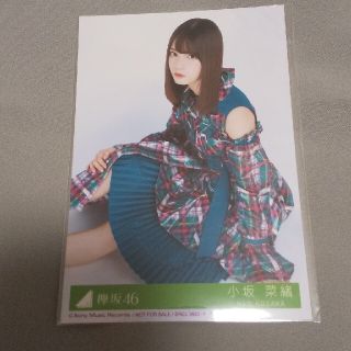 小坂菜緒 生写真 座り(アイドルグッズ)