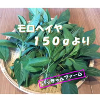 安心・安全野菜　モロヘイヤ　１５０ｇ(野菜)