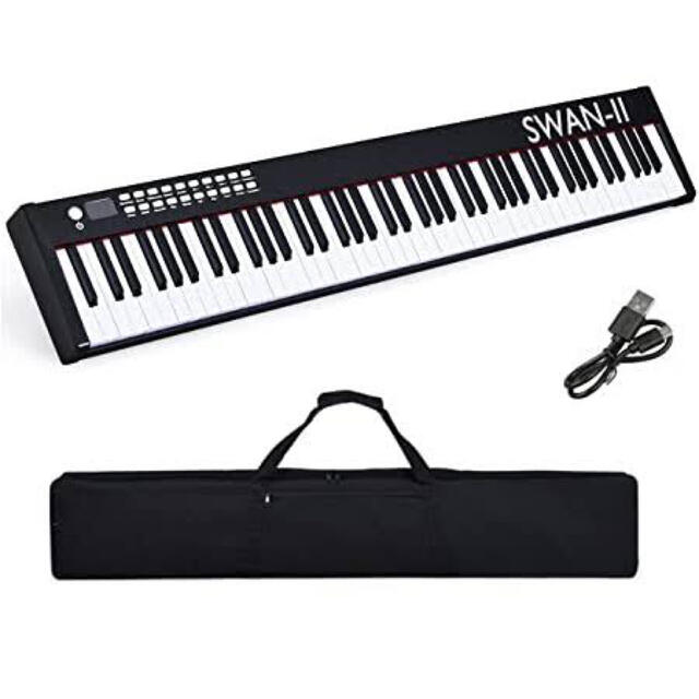 NikoMaku  SWANⅡ 電子ピアノ 楽器の鍵盤楽器(電子ピアノ)の商品写真