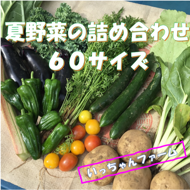 ～暑さに負けるな　夏野菜詰め合わせ～　６０サイズ　８月２８日以降の発送 食品/飲料/酒の食品(野菜)の商品写真