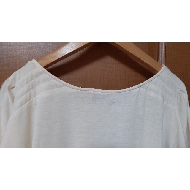 フリーサイズ　Tシャツ　ZEBRA　シマウマ レディースのトップス(Tシャツ(半袖/袖なし))の商品写真