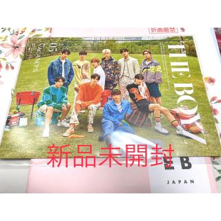 ザボーイズ(THE BOYZ)のTHEBOYZ ドボイズ ドビジャパン  会報誌 vol.5(アイドルグッズ)