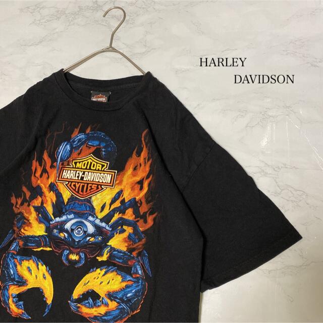 Tシャツ ハーレーダビッドソン 激レア アニマル ロック vintage - T
