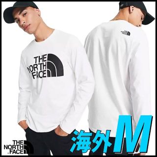 ザノースフェイス(THE NORTH FACE)のノースフェイス The North Face 長袖Tシャツ (48644)(Tシャツ/カットソー(七分/長袖))