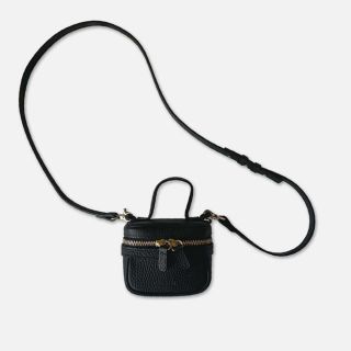 ビューティアンドユースユナイテッドアローズ(BEAUTY&YOUTH UNITED ARROWS)の【かおりん様専用】chiiiibag バニティ　バニティバッグ　チーバック(ショルダーバッグ)