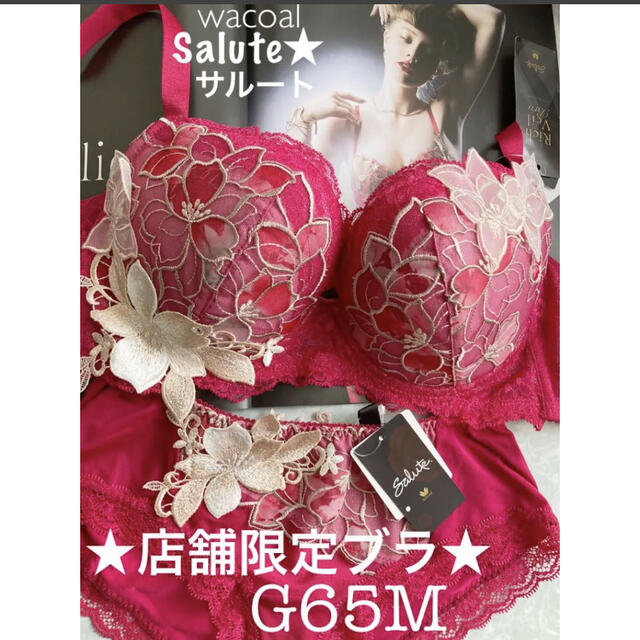 【新品タグ付】 ワコール／Salute★ヴィーナス★Rich Veil☆G65M