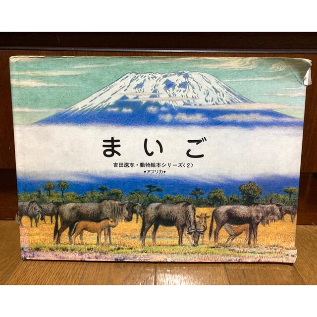 「まいご」吉田遠志　動物絵本シリーズ　アフリカ エンタメ/ホビーの本(絵本/児童書)の商品写真