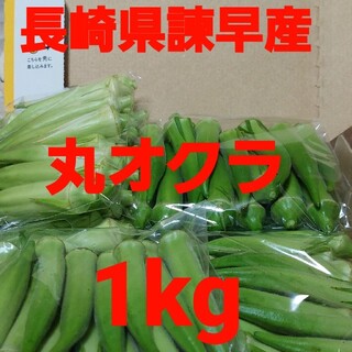 長崎県諫早産丸オクラ1kg(野菜)