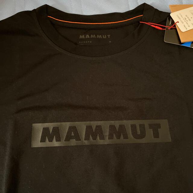 Mammut(マムート)の山小屋 Tシャツ メンズのトップス(Tシャツ/カットソー(半袖/袖なし))の商品写真