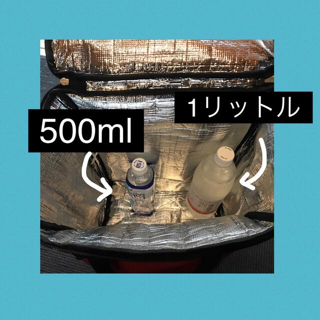 保冷 ショッピングカート 30リットル 未使用 インテリア/住まい/日用品の日用品/生活雑貨/旅行(日用品/生活雑貨)の商品写真