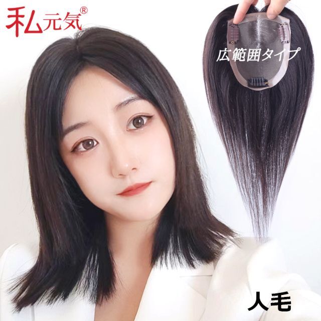 私元気 人毛 部分ウィッグ【25cm】 人毛 広範囲 つむじ ヘアピース 黒髪レディース