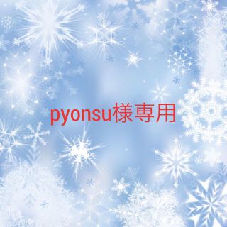 pyonsu様専用