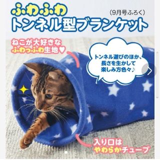 ベネッセ(Benesse)のふわふわトンネル型ブランケット　ねこのきもち付録(猫)