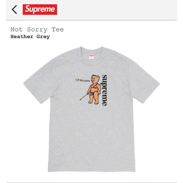 Supreme Not Sorry Tee "Grey"Fur