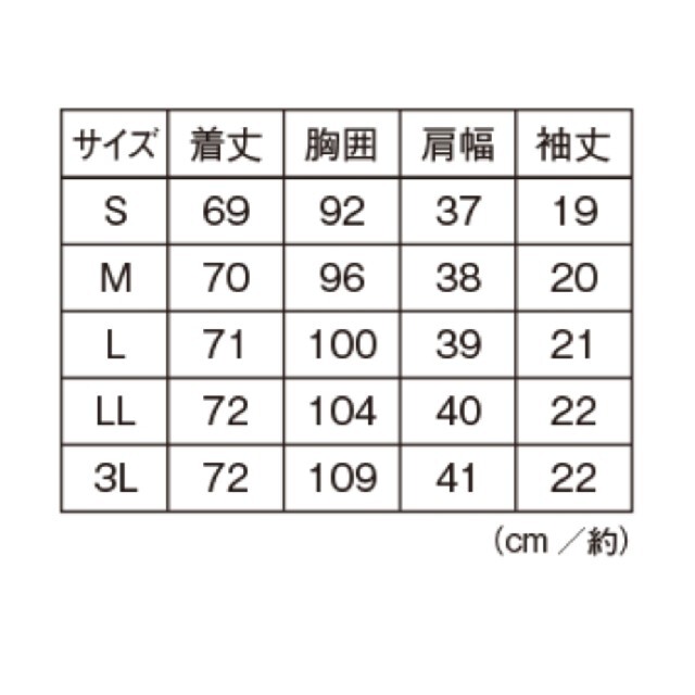 ナースリー　白衣　ケーシ レディースのトップス(その他)の商品写真