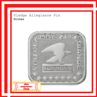 19AW Supreme Pledge Allegiance Pin